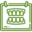 icon - dentures